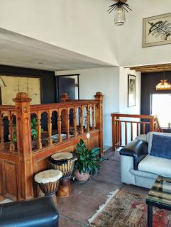 Quirky Bird - Città del Capo - 8