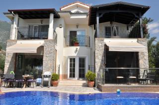 Crocus Villa - Private 3 bedroom Villa in Ovacik - Fethiye - 0