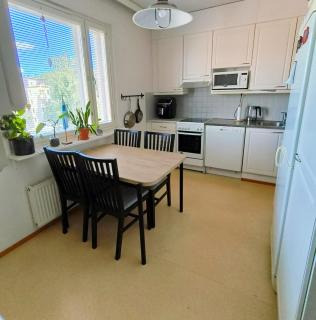 Tidy dobbel with balcony and sauna - Tampere - 5