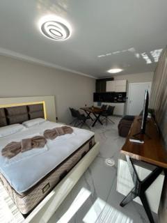 Magic Home - Obzor - 7