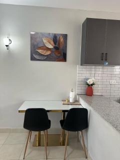 Ecostay condo - Kisumu - 3