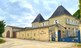 Gîte & Spa Château Lagrange les Tours - Cubzac-les-Ponts - 9