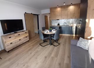 APARTAMENT DaViMa AQUAPARK Rumia - Novum - Rumia - 6