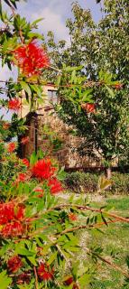 PassionToscane - San Giovanni dʼAsso - 3