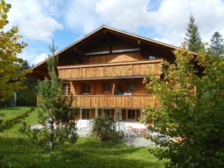Apartment Zapfe - Küenzi by Interhome - Saanenmöser - 8