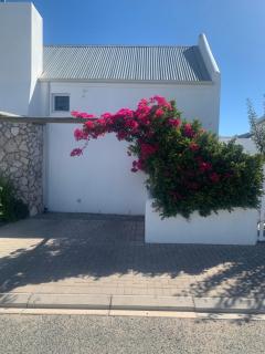 Spacious loft - Paternoster - 9