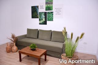 Vig Apartments - Timişoara - 3