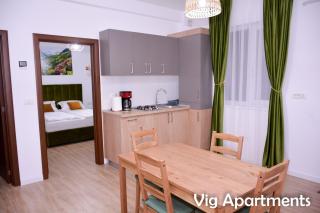 Vig Apartments - Timişoara - 2