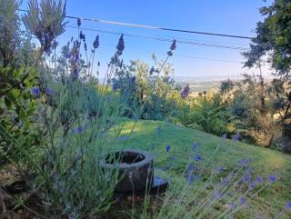 Podere Casato 2 Hills View, Pool, Wifi Tuscany - Montespertoli - 2