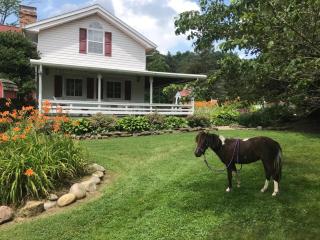 Mohican Farmhouse, Pond, and Animals - - 0