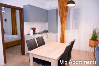 Vig Apartments - Timişoara - 9