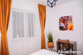 Vig Apartments - Timişoara - 7