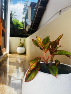 Tropical Pearl Villa - Hikkaduwa - 5