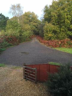 Cosy Countryside Cabin - Bramley - 3
