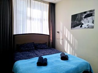 City Center 2BDR apartment near Rustaveli Av. - Tbilisi - 3