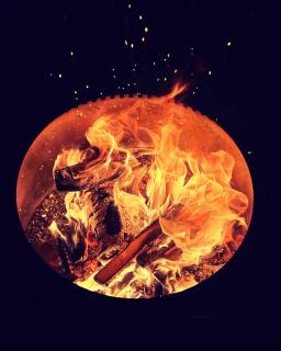 Evergreen Loft - Eco-Apartment - 1