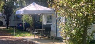 Blue Sapphire Motor Inn - 6