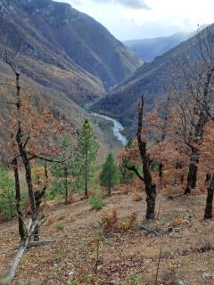 Rafting kamp HEDERA - 6