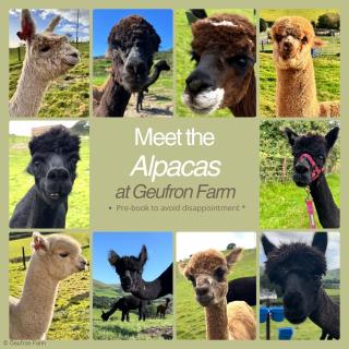 Cozy Log Burner Cottage & On-Site Dog Field - 4