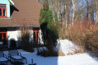 Strandperle Buchenhof 5 D - Wustrow - 1
