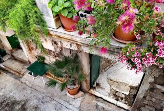 Historic house - 5