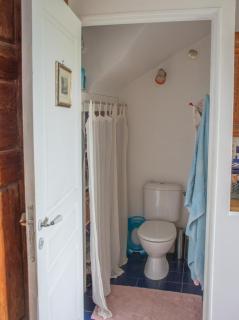 Village house surrounded by greenery - 7