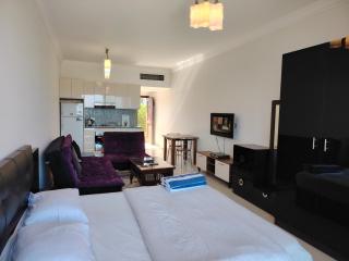 Studio for rent 206 - 8