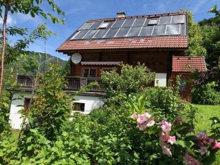 Dachstein Chalet - Mountain view - Bad Goisern - 9