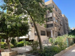 Maadi Glow - Il Cairo - 1