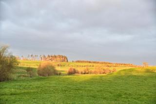 Auerhahn Ferienhäuser Auerhahn 318 - 1