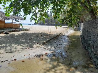 sisi place - 1