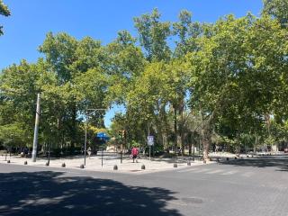 Your Perfect Stay in the heart of Mendoza - Mendoza - 5
