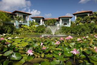 Sandals Grenada All Inclusive - Couples Only - Bamboo - 2
