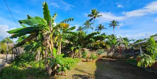 Villa Jardín Tropical - Las Galeras - 0