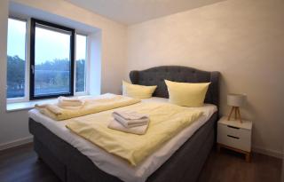 Dünenwald meerseitig mit Balkon - Binz - 2