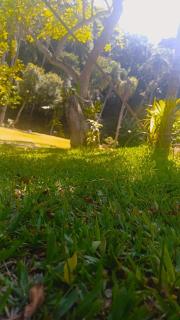 Recanto da Floresta - 6