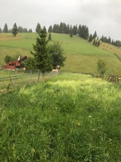 Bernat's House - 7