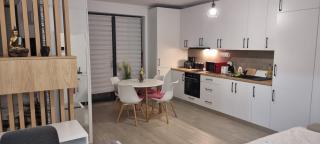 ATENEO - Studio DeLuxe MODERN Apartment, BIG Balcony, Plus FREE Parking - Timişoara - 9