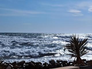 Beachfront studio with terrace - Lagos - 3