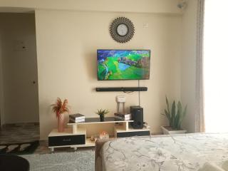 Homely studio Apartment 2 - Mombassa - 7