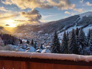 Chalet individuel avec Wi-Fi, parking privé et animaux acceptés - FR-1-671-58 - Les Gets - 0