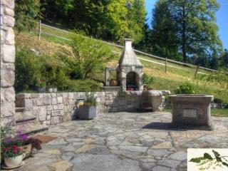 Posestvo Laz - The Laz Estate - Voglarji - 4
