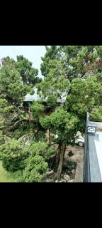 View X & Camper ที่พักเขาค้อเต็นท์โดมขนาดใหญ่ - Phetchabun - 1
