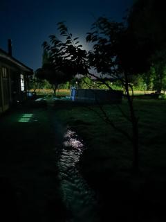 Molina, cerca de 7 Tazas, campo con animales - 3