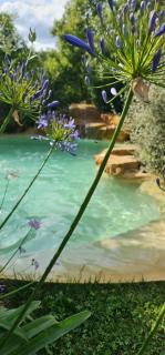 Grand Mas Provençal Luberon - Cavaillon - 8