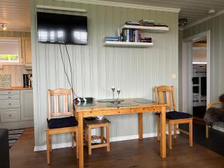 Skiidyll Med Utsikt Og Peis - 7