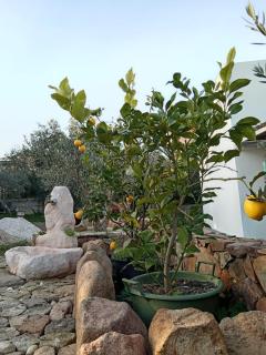 B&B S'Incantu - Sant'Anna Arresi - 7