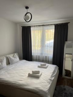 Apartament Dor de Munte Cavnic - Cavnic - 5