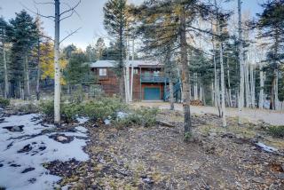 Family-Friendly Mountain Cabin Pet Friendly! - Angel Fire - 6