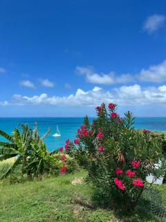 Mont Choisy Vue imprenable sur la mer et spa 2BDcanapé - 3